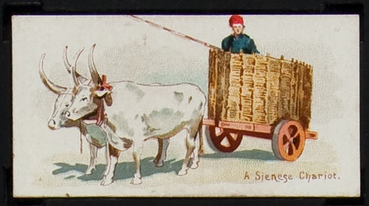 A Sienese Chariot